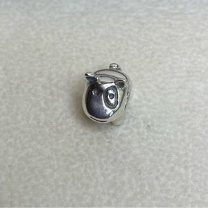 Pandora Retired Dog With Eyespot Charm